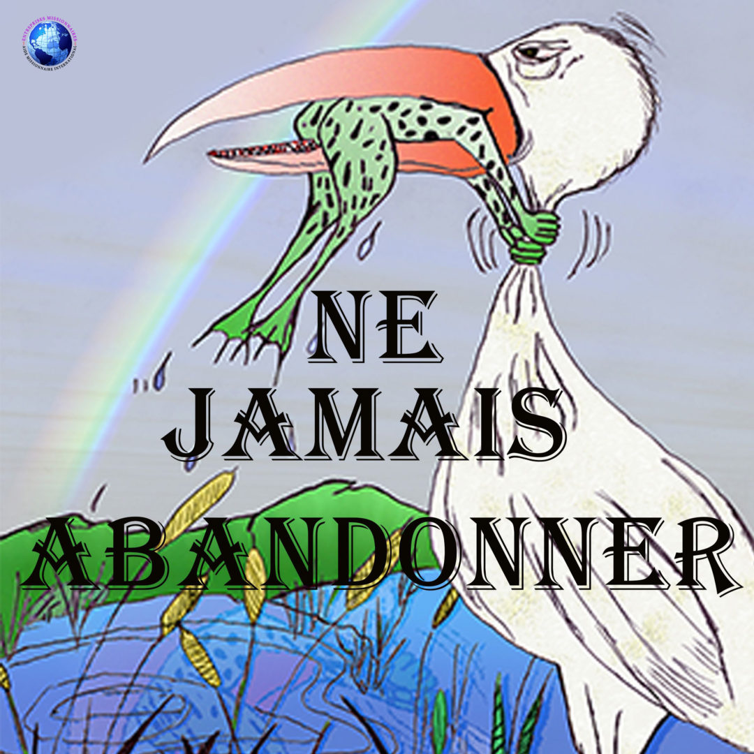 Ne Jamais Abandonner