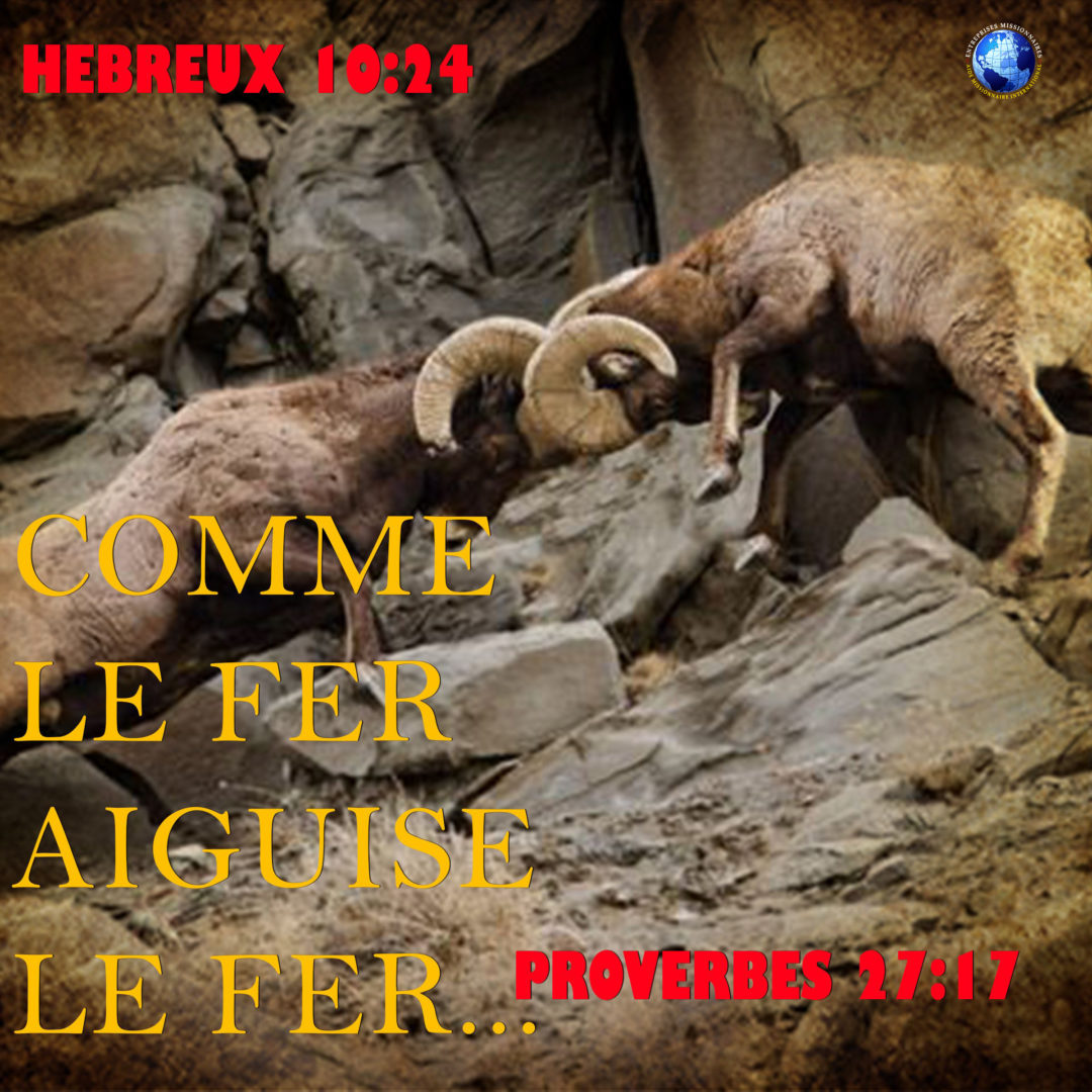 Comme Le Fer Aiguise Le Fer