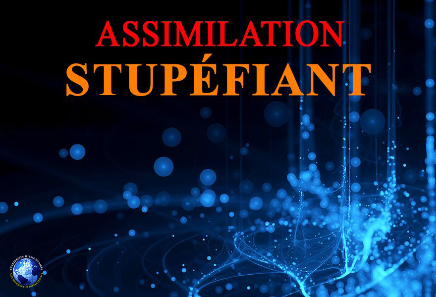 Assimilation Stupéfiant