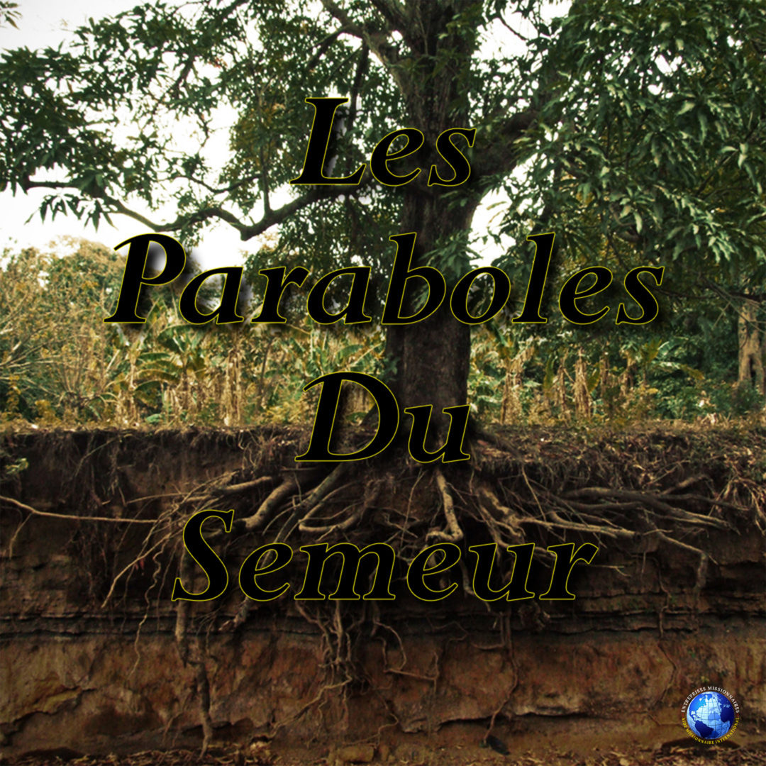 Les Paraboles Du Semeur